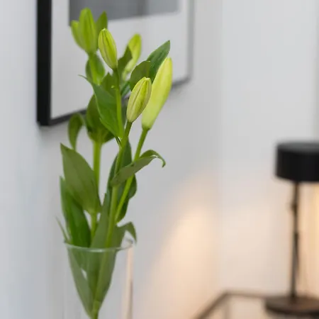 Cosy Dream Center By Renters *